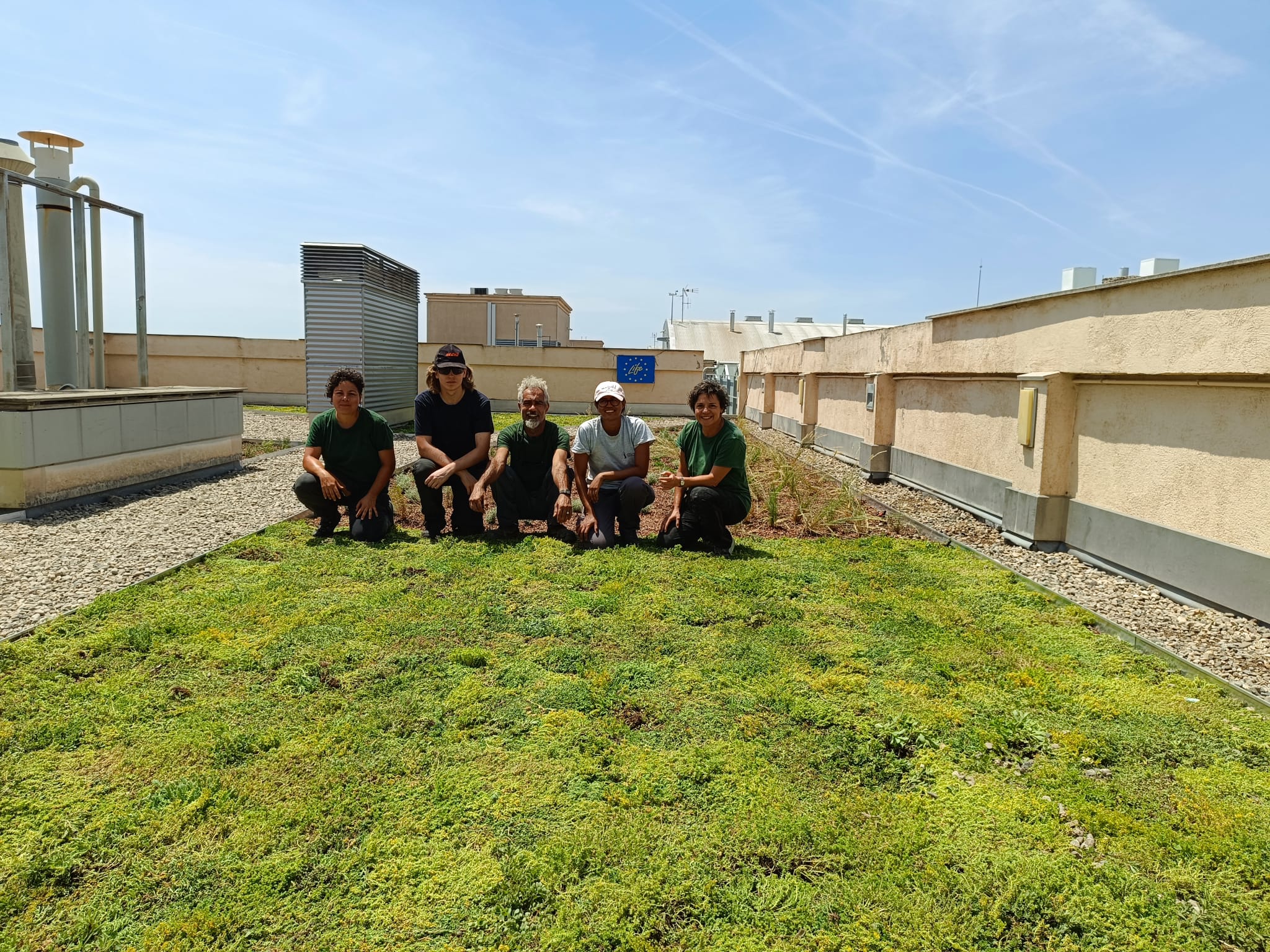 The PCiTAL green roof refurbished