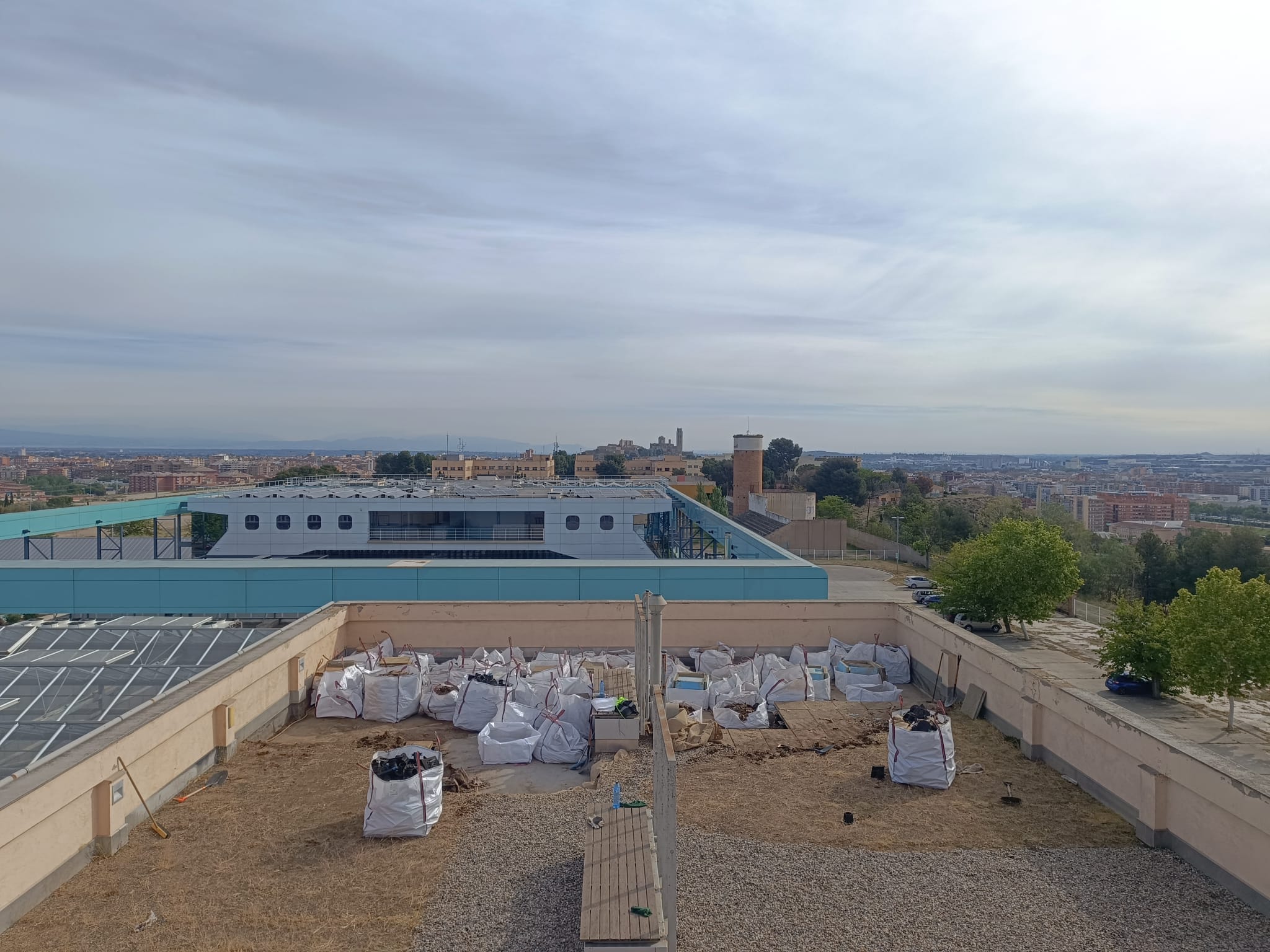 BIG4LIFE begins the refurbishment of the green roof of the PCiTAL building